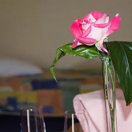 Visula & - New Opening 2026 Hotel Medulin